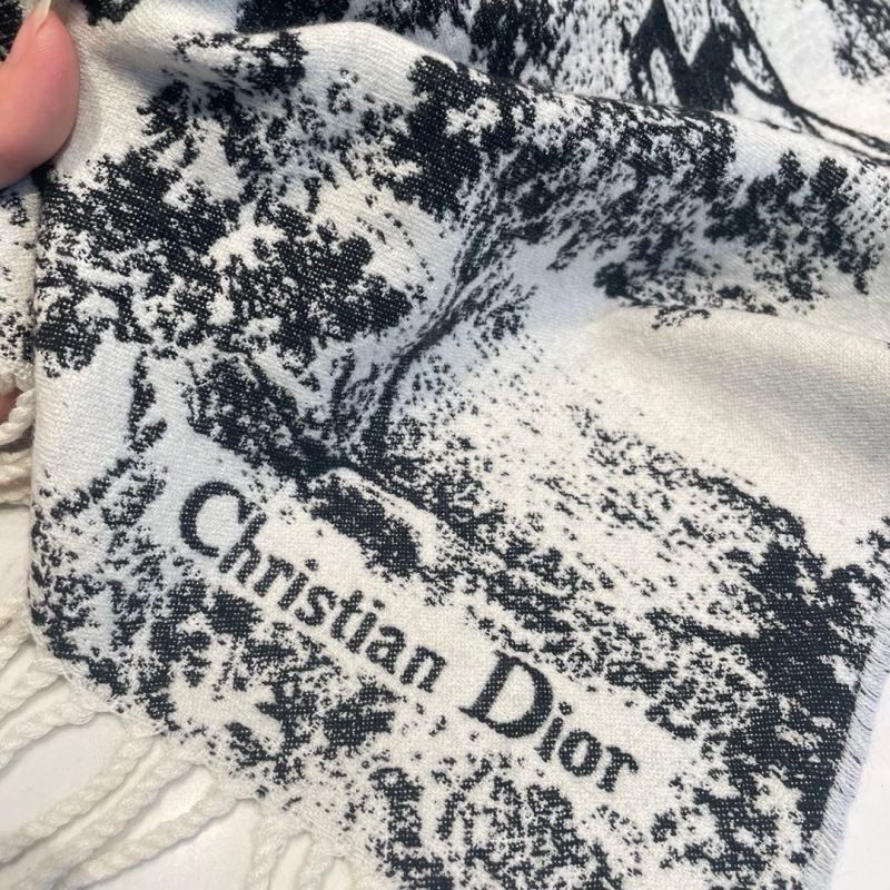 Christian Dior Scarf